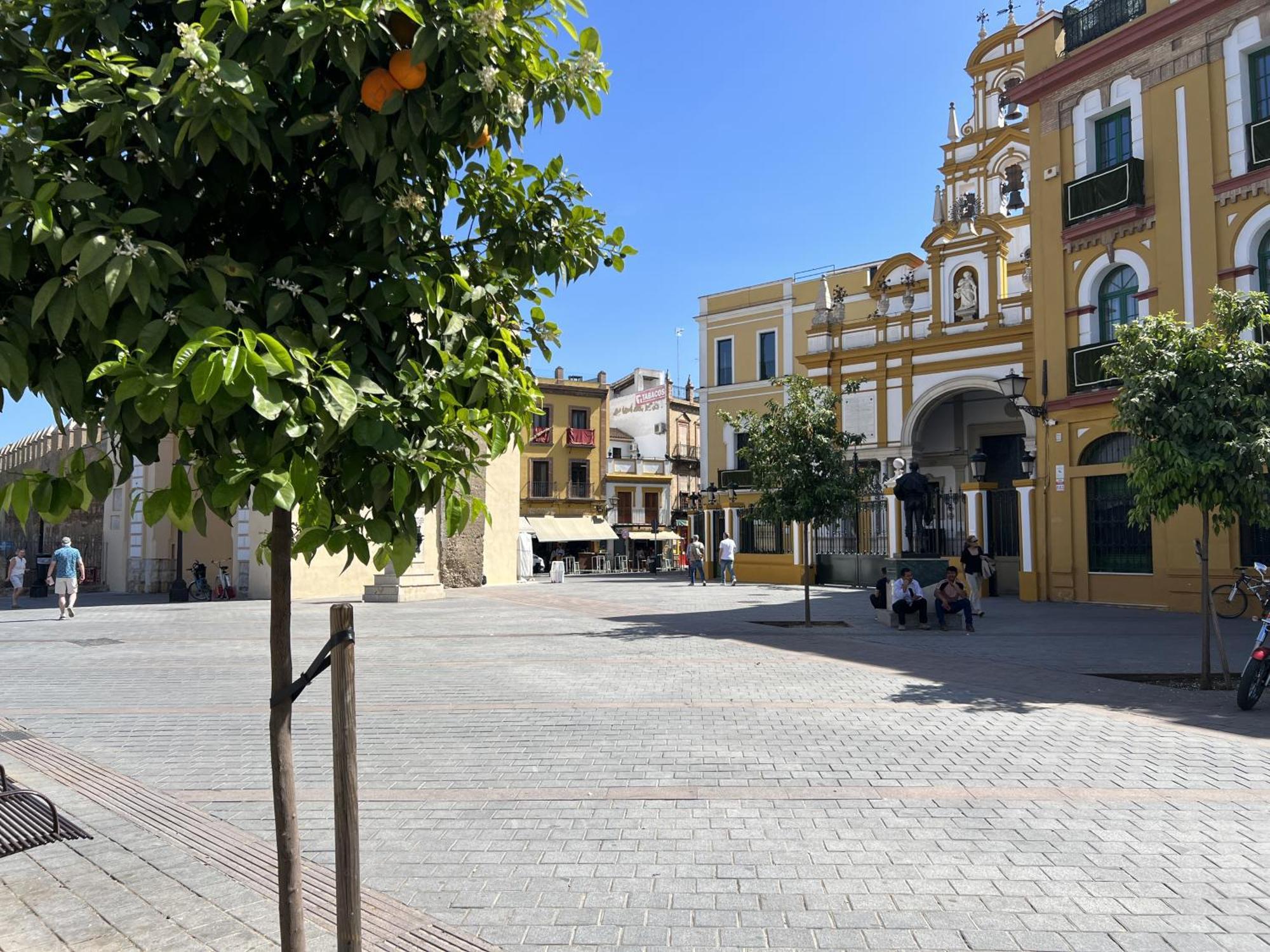 ALOJA SEVILLA - Apartamento Calle Pozo Exterior foto